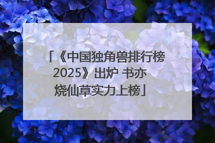 《中国独角兽排行榜2025》出炉 书亦烧仙草实力上榜