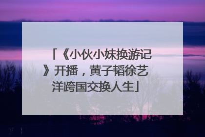 《小伙小妹换游记》开播，黄子韬徐艺洋跨国交换人生