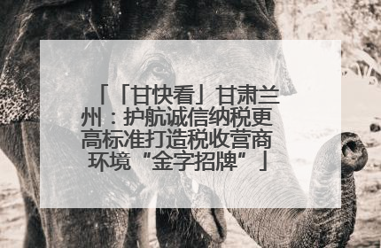 「甘快看」甘肃兰州：护航诚信纳税更高标准打造税收营商环境“金字招牌”