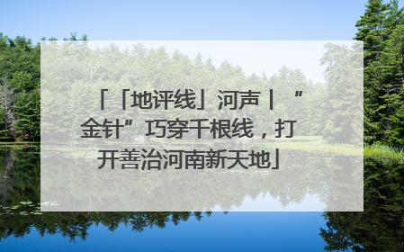「地评线」河声丨“金针”巧穿千根线，打开善治河南新天地