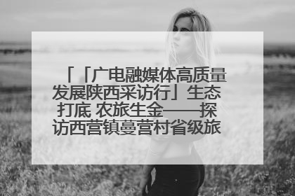 「广电融媒体高质量发展陕西采访行」生态打底 农旅生金——探访西营镇蔓营村省级旅游示范村的振兴密码