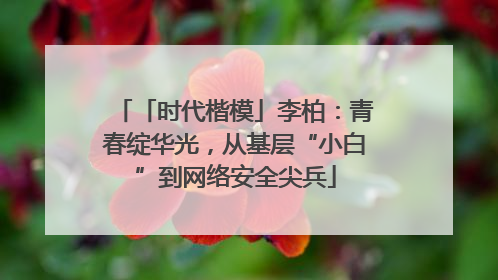 「时代楷模」李柏：青春绽华光，从基层“小白”到网络安全尖兵