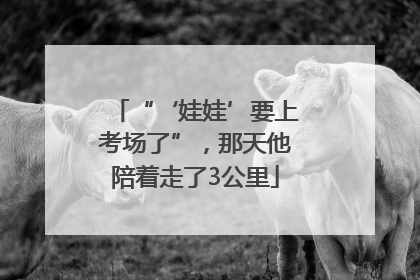 “‘娃娃’要上考场了”，那天他陪着走了3公里