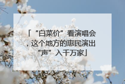 “白菜价”看演唱会，这个地方的惠民演出“声”入千万家