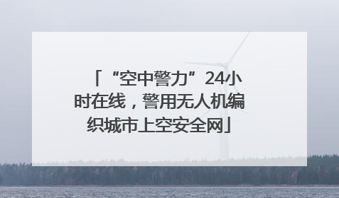 “空中警力”24小时在线，警用无人机编织城市上空安全网