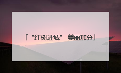 “红树进城” 美丽加分