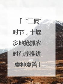“三夏”时节，十堰多地抢抓农时有序推进夏种夏管