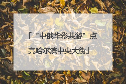 “中俄华彩共游”点亮哈尔滨中央大街