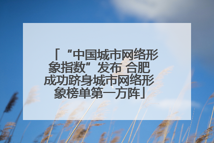 “中国城市网络形象指数”发布 合肥成功跻身城市网络形象榜单第一方阵