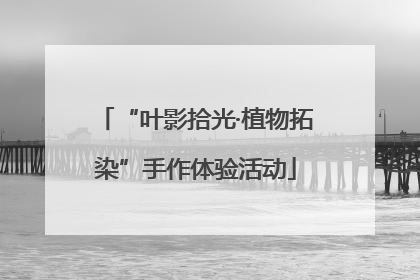 “叶影拾光·植物拓染”手作体验活动