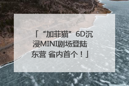 “加菲猫”6D沉浸MINI剧场登陆东营 省内首个！