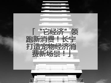 “它经济”领跑新消费！长宁打造宠物经济消费新场景！