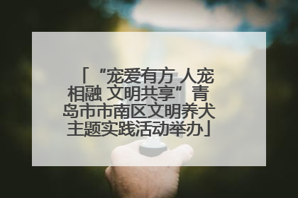 “宠爱有方 人宠相融 文明共享”青岛市市南区文明养犬主题实践活动举办