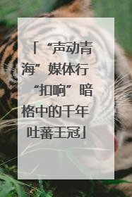 “声动青海”媒体行“扣响”暗格中的千年吐蕃王冠