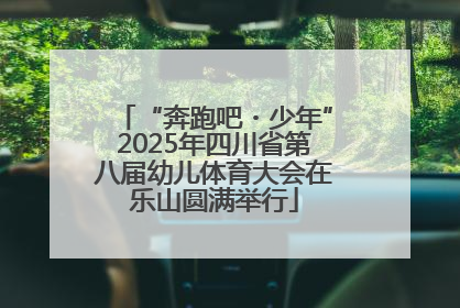 “奔跑吧・少年”2025年四川省第八届幼儿体育大会在乐山圆满举行