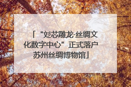 “彣芯雕龙·丝绸文化数字中心”正式落户苏州丝绸博物馆