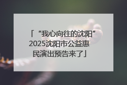 “我心向往的沈阳”2025沈阳市公益惠民演出预告来了