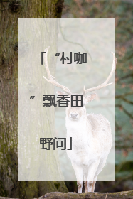 “村咖”飘香田野间