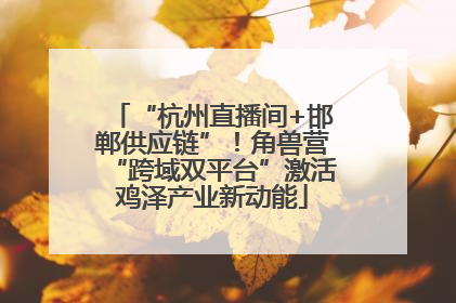 “杭州直播间+邯郸供应链”！角兽营“跨域双平台”激活鸡泽产业新动能