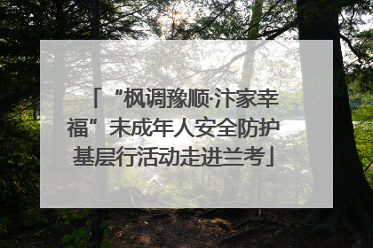 “枫调豫顺·汴家幸福”未成年人安全防护基层行活动走进兰考