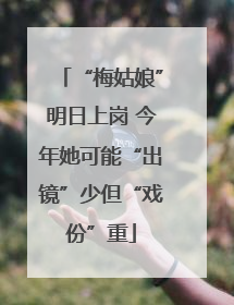 “梅姑娘”明日上岗 今年她可能“出镜”少但“戏份”重