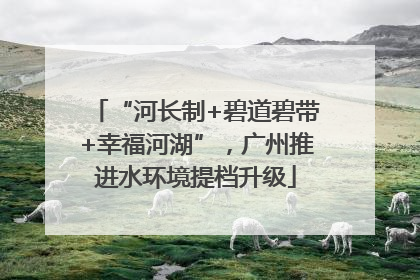 “河长制+碧道碧带+幸福河湖”，广州推进水环境提档升级
