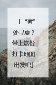 “荷”处寻夏？带上这份打卡地图出发吧