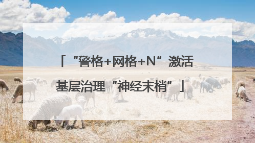 “警格+网格+N”激活基层治理“神经末梢”