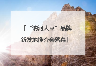 “讷河大豆”品牌新发地推介会落幕