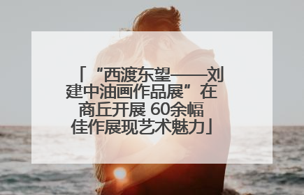 “西渡东望——刘建中油画作品展”在商丘开展 60余幅佳作展现艺术魅力