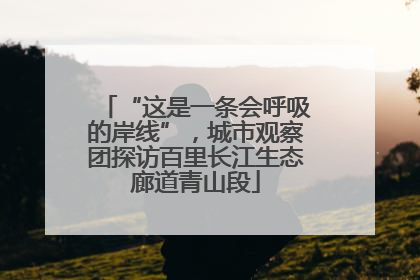 “这是一条会呼吸的岸线”，城市观察团探访百里长江生态廊道青山段
