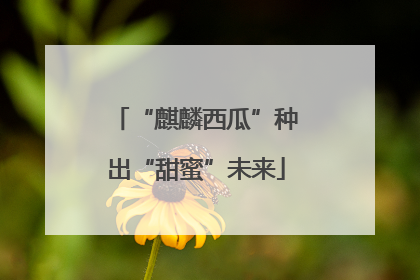 “麒麟西瓜”种出“甜蜜”未来