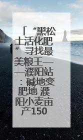 “黑松土活化肥”寻找最美粮王——濮阳站：碱地变肥地 濮阳小麦亩产1500多斤