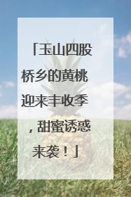 玉山四股桥乡的黄桃迎来丰收季，甜蜜诱惑来袭！
