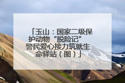 玉山：国家二级保护动物“脱险记” 警民爱心接力筑就生命驿站（图）