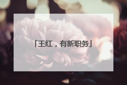 王红，有新职务