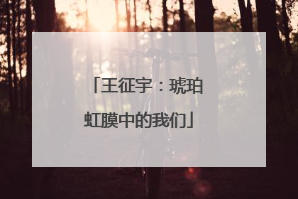 王征宇：琥珀虹膜中的我们