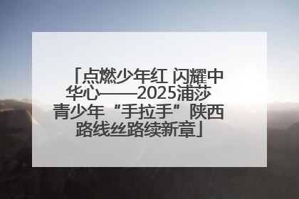 点燃少年红 闪耀中华心——2025浦莎青少年“手拉手”陕西路线丝路续新章