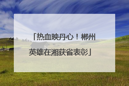 热血映丹心！郴州英雄在湘获省表彰