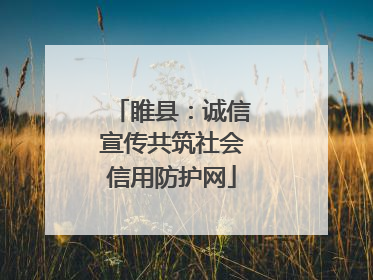 睢县：诚信宣传共筑社会信用防护网