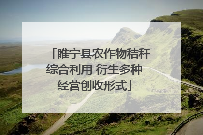 睢宁县农作物秸秆综合利用 衍生多种经营创收形式