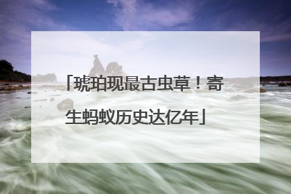 琥珀现最古虫草！寄生蚂蚁历史达亿年