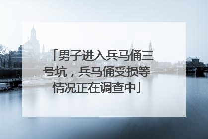 男子进入兵马俑三号坑，兵马俑受损等情况正在调查中