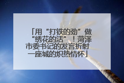 用“打铁的劲”做“绣花的活”！菏泽市委书记的发言折射一座城的炽热情怀