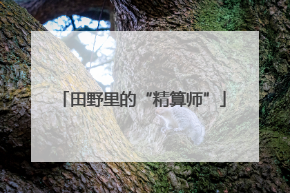 田野里的“精算师”