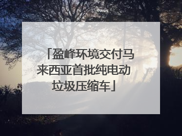 盈峰环境交付马来西亚首批纯电动垃圾压缩车