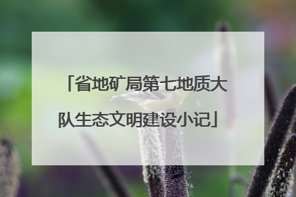 省地矿局第七地质大队生态文明建设小记