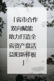 省市合作双向赋能 助力打造全省资产盘活益阳新样板
