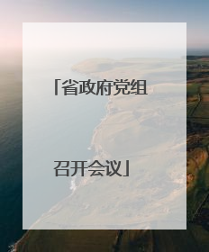 省政府党组召开会议