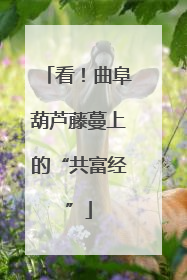看！曲阜葫芦藤蔓上的“共富经”